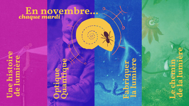 Quatre colonnes de quatre couleurs affichant les titres des épisodes des mardis de novembre du podcast La Fourmi dans la coquille : Une histoire de lumière ; Optique Quantique ; Fabriquer la lumière ; Le chemin de la lumière.
En fond, derrière chaque titre, un détail d'une illustration : un prisme décomposant la lumière ; un portrait de Max Planck ; Un serpent et un feu follet ; Deux colibris et une fleur tropicale rouge.