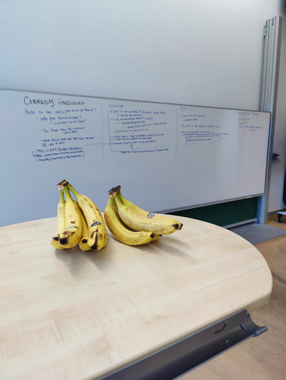 Two bunches of bananas with a whiteboard in the background 