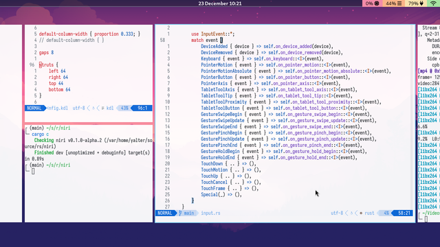A few terminals open in niri showing struts or outer gaps.