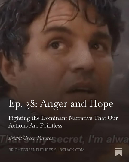 Ep. 38: Anger and Hope
Fighting the Dominant Narrative That Our
Actions Are Pointless
Bright Green Futures
BRIGHTGREENFUTURES.SUBSTACK.COM 

